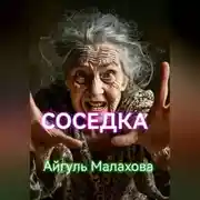 Постер книги Соседка