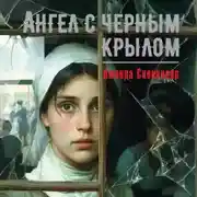 Постер книги Ангел с черным крылом