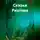 Александр Рихтер - Сказки Рихтера