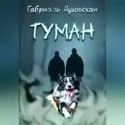 Постер книги Туман