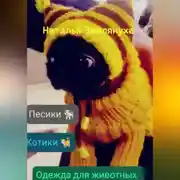 Постер книги Одежда для животных