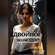 Постер книги Двойное возмездие