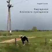 Постер книги Ощущение близкого праздника