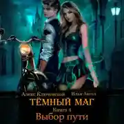 Постер книги Тёмный маг. Книга 4. Выбор пути
