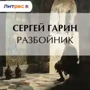 Постер книги Разбойник