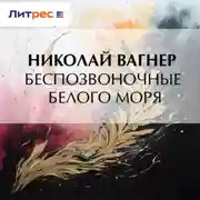 Постер книги Беспозвоночные Белого моря