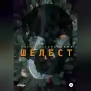 Постер книги Шелест