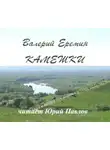 Валерий Еремин - Камешки