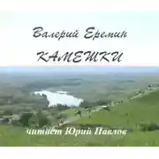 Постер книги Камешки