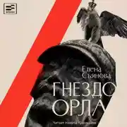 Постер книги Гнездо орла