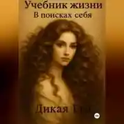 Постер книги Учебник жизни. В поисках себя