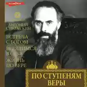 Постер книги По ступеням веры (главы)