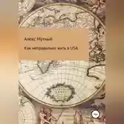 Постер книги Как неправильно жить в USA