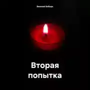Постер книги Вторая попытка