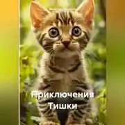 Постер книги Приключения Тишки