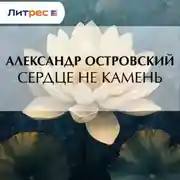 Постер книги Сердце не камень