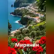 Постер книги Мирянин