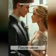 Постер книги После меня