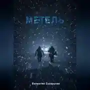 Постер книги Метель