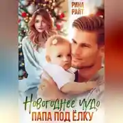 Постер книги Новогоднее чудо. Папа под ёлку.