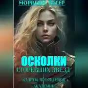 Постер книги Осколки сгоревших звёзд. Книга 1. Кадеты Нефритовой Академии