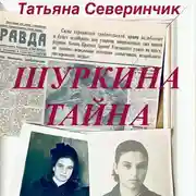 Постер книги Шуркина тайна