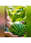 Элина Дейна - Арбузный мастер
