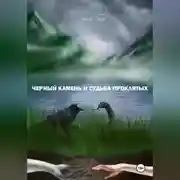 Постер книги Чёрный камень и судьба проклятых