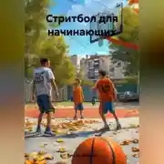 Постер книги Стритбол для начинающих