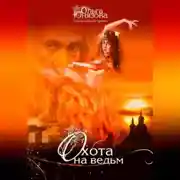 Постер книги Охота на ведьм