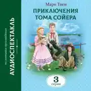 Постер книги Приключения Тома Сойера. 3 Серия