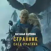 Постер книги Странник. След урагана