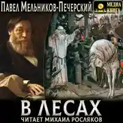 Постер книги В лесах