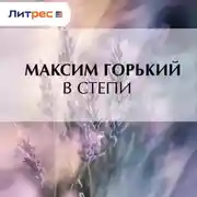 Постер книги В степи