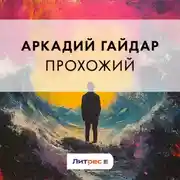 Постер книги Прохожий