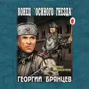 Постер книги Конец «осиного гнезда»