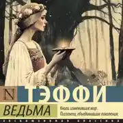 Постер книги Ведьма