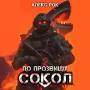 Постер книги По прозвищу «Сокол». Том 2