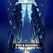Постер книги Эхо в руинах