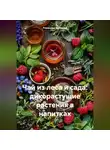 Романова Виктория - Чай из леса и сада: дикорастущие растения в напитках