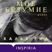 Постер книги Мое безумие