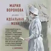 Постер книги Идеальная жена