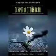 Постер книги Секреты стойкости. Как преодолевать любые трудности
