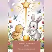 Постер книги Сказки о маленьком свете