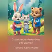 Постер книги Сказки про маленькие открытия