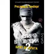 Постер книги Брат за брата
