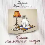 Постер книги Наша маленькая жизнь (сборник)