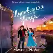 Постер книги Путеводная звезда