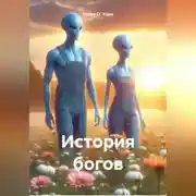 Постер книги История богов