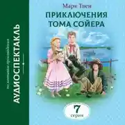 Постер книги Приключения Тома Сойера. 7 Серия
